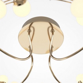Потолочная люстра Maytoni Tessara MOD081CL-L36G3K в Карталах - kartaly.mebel24.online | фото 4