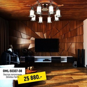 Потолочная люстра Omnilux Ferro OML-50307-08 в Карталах - kartaly.mebel24.online | фото 2