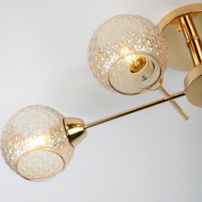 Потолочная люстра Rivoli Amalia Б0050815 в Карталах - kartaly.mebel24.online | фото 8
