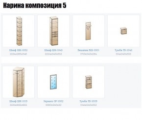 Прихожая Карина (модульная) в Карталах - kartaly.mebel24.online | фото 2