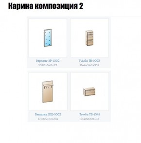 Прихожая Карина (модульная) в Карталах - kartaly.mebel24.online | фото 6