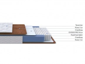 PROxSON Матрас Active F Roll (Ткань Трикотаж Эко) 160x200 в Карталах - kartaly.mebel24.online | фото 3