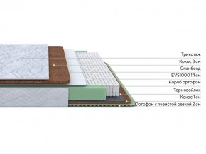 PROxSON Матрас Green Duo M/F (Tricotage Dream) 80x200 в Карталах - kartaly.mebel24.online | фото 1