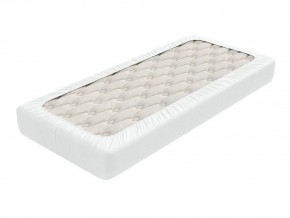 PROxSON Защитный чехол Aqua Save Light S (Ткань влагостойкая Tencel Jersey) 90x200 в Карталах - kartaly.mebel24.online | фото 2