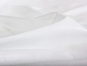 PROxSON Защитный чехол Aqua Save M (Ткань влагостойкая Terry Cloth) 90x200 в Карталах - kartaly.mebel24.online | фото 6