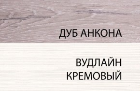 Шкаф 1DZ, OLIVIA, цвет вудлайн крем/дуб анкона в Карталах - kartaly.mebel24.online | фото 3