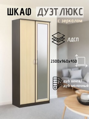 Шкаф 2-х створчатый Дуэт Люкс с зеркалом в Карталах - kartaly.mebel24.online | фото 1