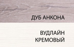 Шкаф 2DG, OLIVIA, цвет вудлайн крем/дуб анкона в Карталах - kartaly.mebel24.online | фото 3