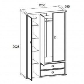 Шкаф 3DG2S, MAGELLAN, цвет Сосна винтаж в Карталах - kartaly.mebel24.online | фото 4