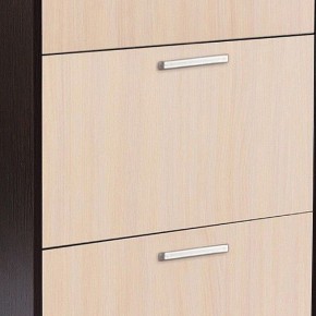 Шкаф для обуви УК-4 в Карталах - kartaly.mebel24.online | фото 2