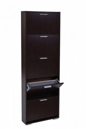 Шкаф для обуви УК-5 10000130 в Карталах - kartaly.mebel24.online | фото