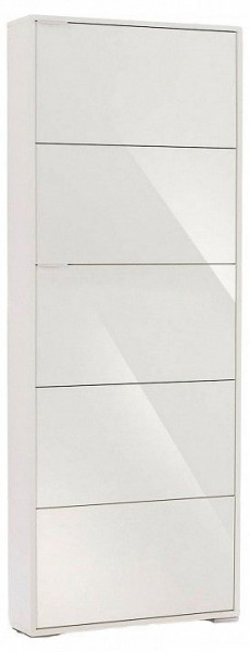 Шкаф для обуви Viva-5S в Карталах - kartaly.mebel24.online | фото