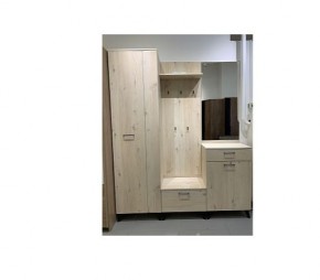 Шкаф для одежды 2-х дверный София 1 в Карталах - kartaly.mebel24.online | фото 6