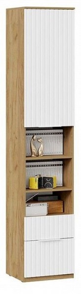 Шкаф комбинированный Хилтон Исп. 2 в Карталах - kartaly.mebel24.online | фото 4