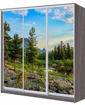 Шкаф-купе ХИТ 22-4-18/2-777 ПРИРОДА в Карталах - kartaly.mebel24.online | фото