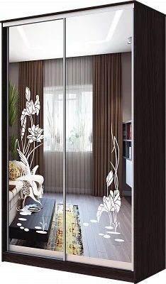 Шкаф-купе ХИТ 23-12-66 ЦАПЛИ в Карталах - kartaly.mebel24.online | фото