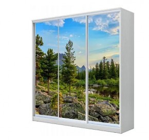 Шкаф-купе ХИТ 23-18-777 (620) в Карталах - kartaly.mebel24.online | фото