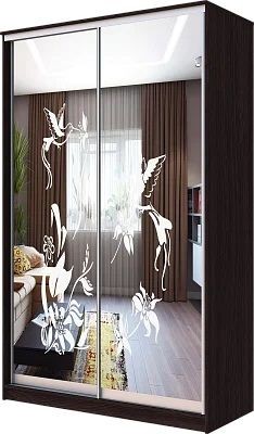 Шкаф-купе ХИТ 23-4-12/2-66 КОЛИБРИ в Карталах - kartaly.mebel24.online | фото