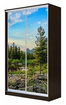 Шкаф-купе ХИТ 23-4-15-77 ПРИРОДА в Карталах - kartaly.mebel24.online | фото