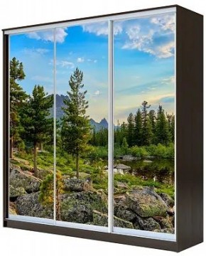 Шкаф-купе ХИТ 23-4-18-777 ПРИРОДА в Карталах - kartaly.mebel24.online | фото