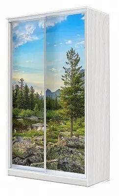 Шкаф-купе ХИТ 24-4-15-77 ПРИРОДА в Карталах - kartaly.mebel24.online | фото