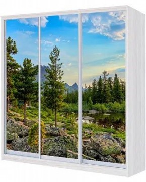 Шкаф-купе ХИТ 24-4-18/2-777 ПРИРОДА в Карталах - kartaly.mebel24.online | фото
