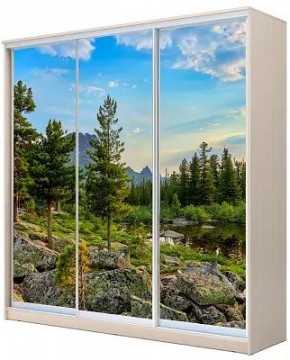 Шкаф-купе ХИТ 24-4-20-777 ПРИРОДА в Карталах - kartaly.mebel24.online | фото