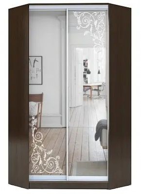 Шкаф-купе ХИТ-У-22-4-66 ОРНАМЕНТ в Карталах - kartaly.mebel24.online | фото