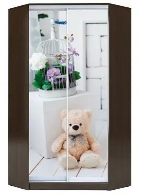 Шкаф-купе ХИТ-У-L-23-64-77 МИШКА В ИНТЕРЬЕРЕ в Карталах - kartaly.mebel24.online | фото