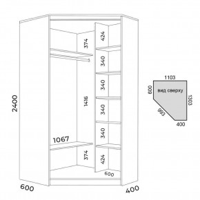 Шкаф-купе ХИТ-У-L-24-64-11 в Карталах - kartaly.mebel24.online | фото 3