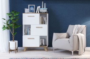 Шкаф низкий с нишами Вега Скандинавия в Карталах - kartaly.mebel24.online | фото 4