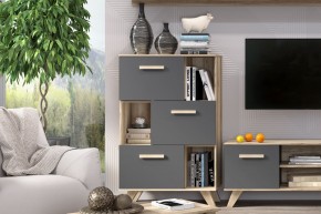 Шкаф низкий с нишами Вега Скандинавия в Карталах - kartaly.mebel24.online | фото 6