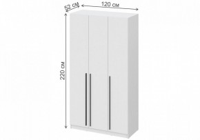 Шкаф платяной Бирма ШК-1200 в Карталах - kartaly.mebel24.online | фото 4