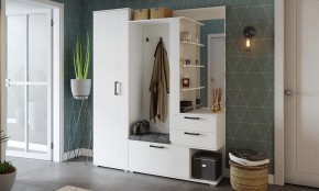 Шкаф платяной Эрика в Карталах - kartaly.mebel24.online | фото 3