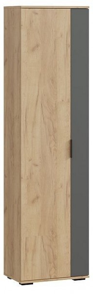 Шкаф платяной Эвита в Карталах - kartaly.mebel24.online | фото