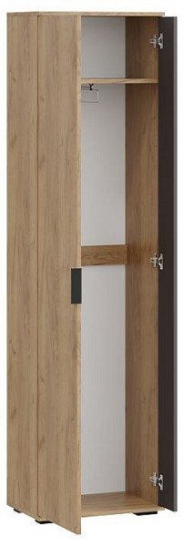 Шкаф платяной Эвита в Карталах - kartaly.mebel24.online | фото 2