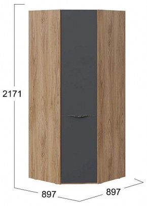 Шкаф платяной Глосс СМ-319.07.311 в Карталах - kartaly.mebel24.online | фото 4