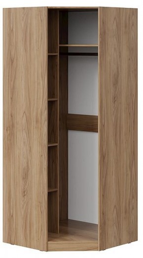 Шкаф платяной Глосс СМ-319.07.312 в Карталах - kartaly.mebel24.online | фото 2