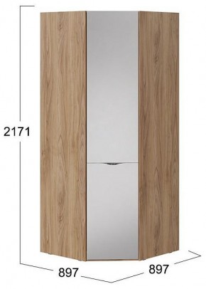 Шкаф платяной Глосс СМ-319.07.312 в Карталах - kartaly.mebel24.online | фото 4