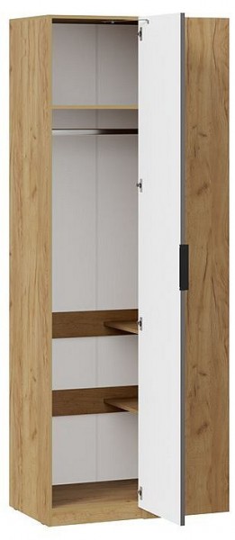 Шкаф платяной Хилтон в Карталах - kartaly.mebel24.online | фото 2