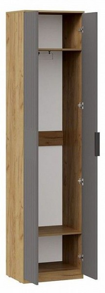 Шкаф платяной Хилтон Исп. 2 в Карталах - kartaly.mebel24.online | фото 2