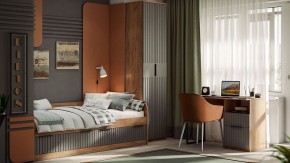 Шкаф платяной Хилтон Исп. 2 в Карталах - kartaly.mebel24.online | фото 5