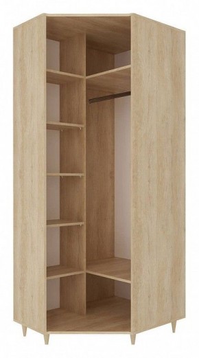 Шкаф платяной Киото СТЛ.339.08 в Карталах - kartaly.mebel24.online | фото 2