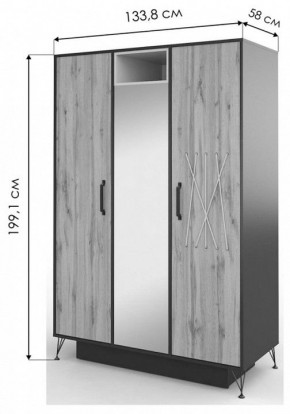 Шкаф платяной Нобира в Карталах - kartaly.mebel24.online | фото 3