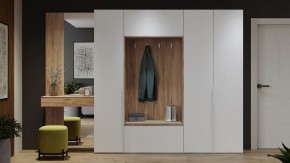 Шкаф платяной Порто СМ-393.07.223 в Карталах - kartaly.mebel24.online | фото 9