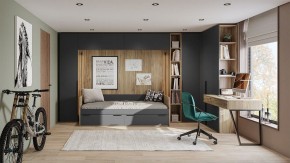 Шкаф платяной Порто СМ-393.07.223 в Карталах - kartaly.mebel24.online | фото 6