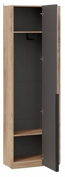 Шкаф платяной Порто СМ-393.07.232 в Карталах - kartaly.mebel24.online | фото 2