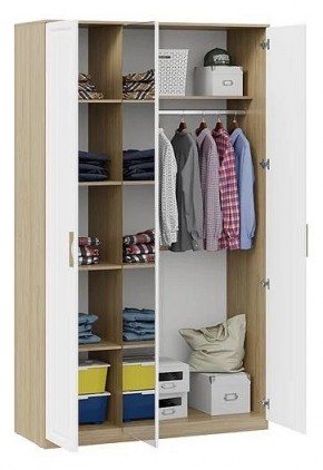 Шкаф платяной Сэнди в Карталах - kartaly.mebel24.online | фото 3