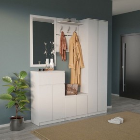 Шкаф платяной ШО-4 в Карталах - kartaly.mebel24.online | фото 6