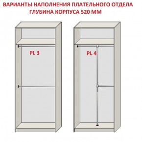 Шкаф распашной серия «ЗЕВС» (PL3/С1/PL2) в Карталах - kartaly.mebel24.online | фото 10